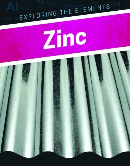 Elise Tobler - Zinc, E-bok