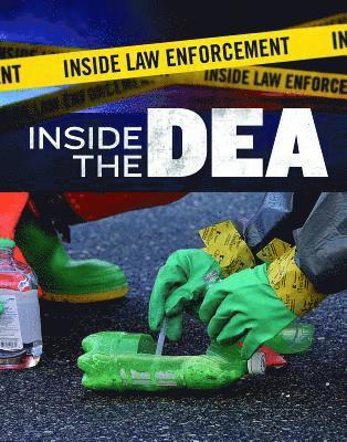 Bridey Heing - Inside the Dea, Inbunden