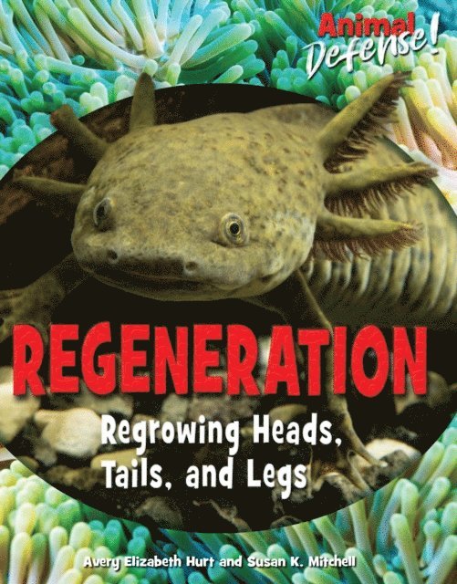 Susan K. Mitchell, Avery Elizabeth Hurt - Regeneration, E-bok