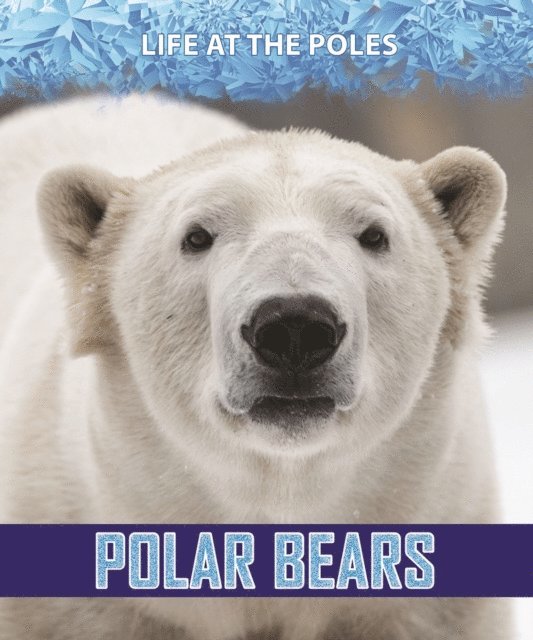 Rita Santos - Polar Bears, E-bok