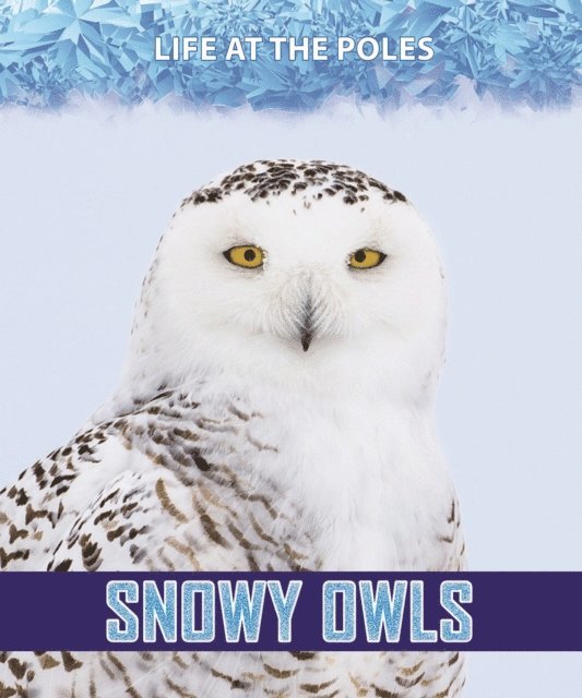 Rita Santos - Snowy Owls, E-bok