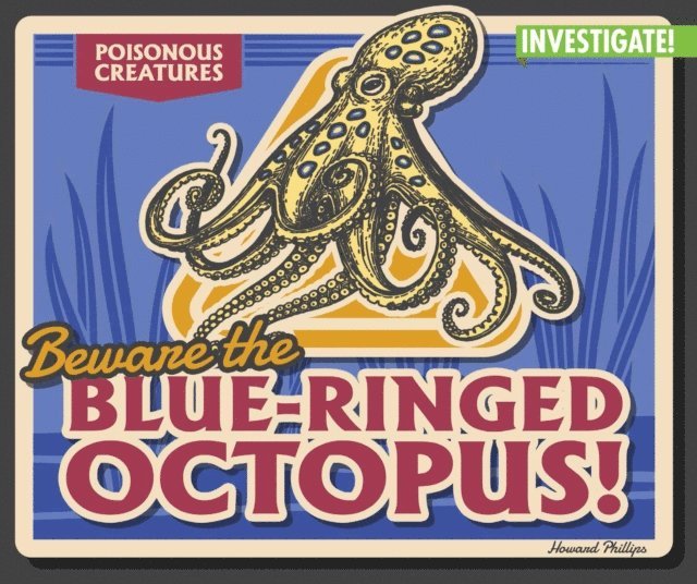 Howard Phillips - Beware the Blue-Ringed Octopus!, E-bok