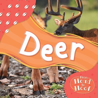Alex Hall - Deer, Inbunden. Tillgänglighet: Lägg i varukorg