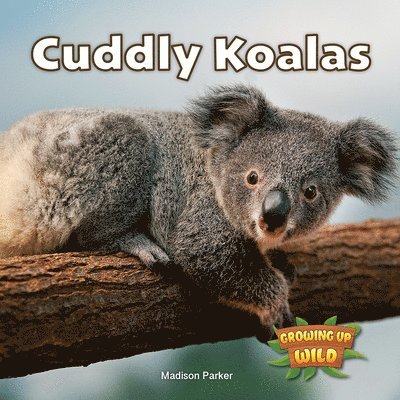 Madison Parker - Cuddly Koalas, Häftad