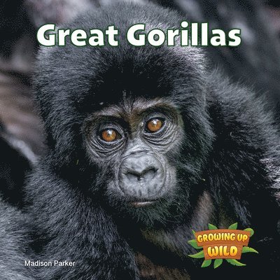 Madison Parker - Great Gorillas, Häftad. Tillgänglighet: Lägg i varukorg