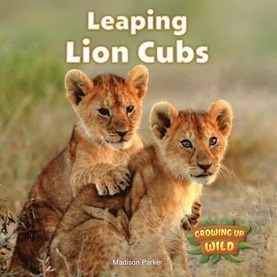 Madison Parker - Leaping Lion Cubs, Häftad. Tillgänglighet: Lägg i varukorg