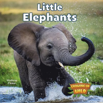 Madison Parker - Little Elephants, Häftad. Tillgänglighet: Lägg i varukorg