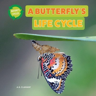 A. B. Clamant - A Butterfly's Life Cycle, Häftad