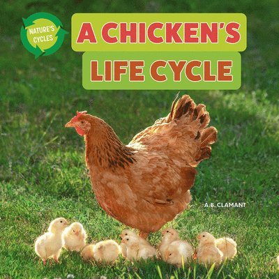A. B. Clamant - A Chicken's Life Cycle, Häftad