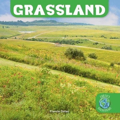 Francie Dolan - Grassland, Häftad. Tillgänglighet: Lägg i varukorg