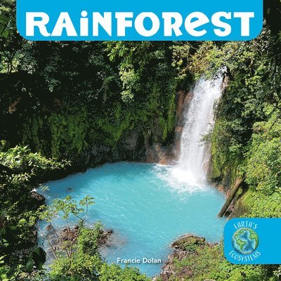 Francie Dolan - Rainforest, Häftad. Tillgänglighet: Lägg i varukorg