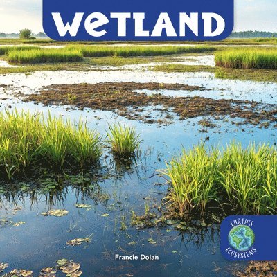 Francie Dolan - Wetland, Häftad