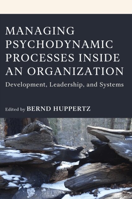 Bernd Huppertz - Managing Psychodynamic Processes Inside an Organization, E-bok