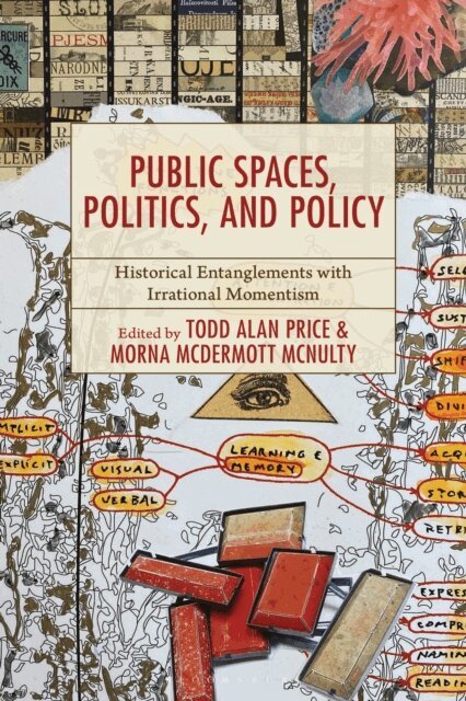 Morna McDermott McNulty, Todd Alan Price - Public Spaces, Politics, and Policy, E-bok