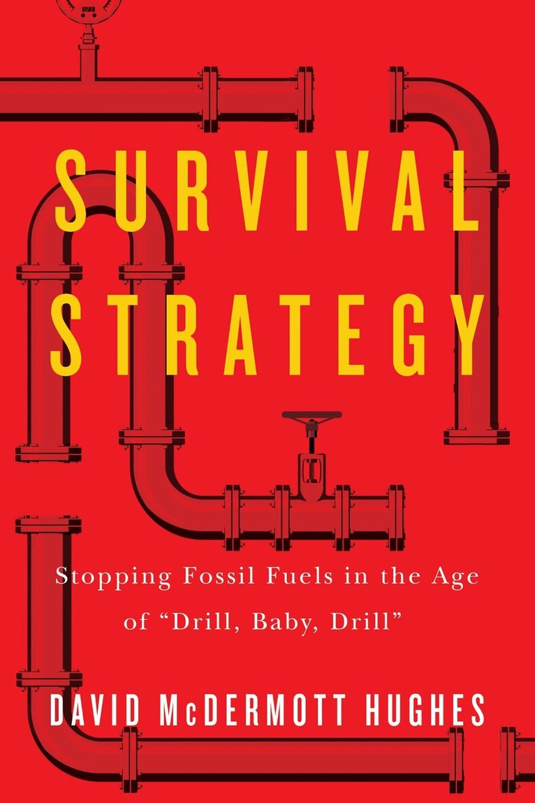 David McDermott Hughes - Survival Strategy, Inbunden