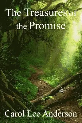 Carol Lee Anderson - The Treasures of the Promise, Häftad. Tillgänglighet: Lägg i varukorg