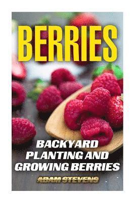 Adam Stevens - Berries: Backyard Planting and Growing Berries: (Berries Growing, Berries Gardening), Häftad