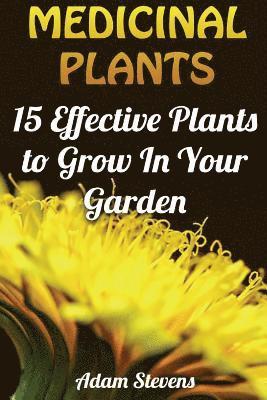Adam Stevens - Medicinal Plants: 15 Effective Plants to Grow In Your Garden: (Medicinal Herbs, Herbs Growing), Häftad