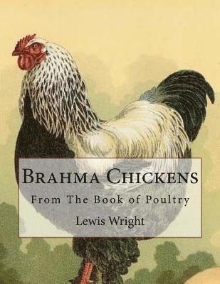 Lewis Wright - Brahma Chickens: From The Book of Poultry, Häftad. Tillgänglighet: Lägg i varukorg