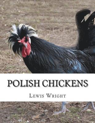 Lewis Wright - Polish Chickens: From The Book of Poultry, Häftad. Tillgänglighet: Lägg i varukorg