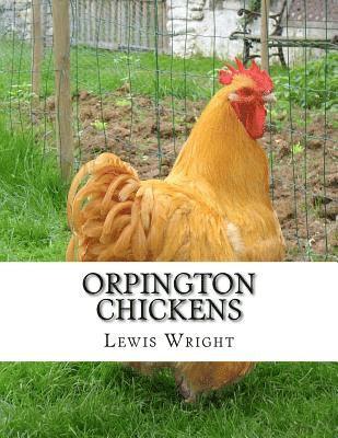 Lewis Wright - Orpington Chickens: From The Book of Poultry, Häftad. Tillgänglighet: Lägg i varukorg