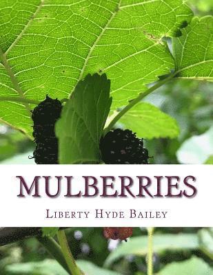 Mulberries av Liberty Hyde Bailey