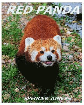 Spencer Jones - Red Panda: Learn About Red Pandas-Amazing Pictures & Fun Facts, Häftad