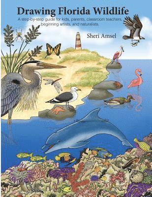 Sheri Amsel - Drawing Florida Wildlife, Häftad. Tillgänglighet: Lägg i varukorg