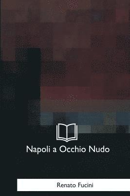 Renato Fucini - Napoli a Occhio Nudo: Lettere Ad Un Amico, Häftad. Tillgänglighet: Lägg i varukorg