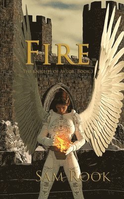 Sam Rook - Fire, Häftad. Tillgänglighet: Lägg i varukorg