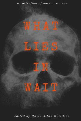 Julia Lye, Amalia Lemay - What Lies in Wait: A Collection of Short Horror Stories, Häftad. Tillgänglighet: Lägg i varukorg