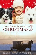 Love Came Down At Christmas 2: A Fancy Amish Smicksburg Tale