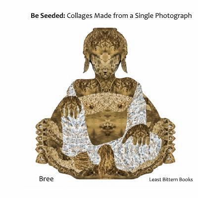 Least Bittern Books, Bree - Be Seeded: Collages Made from a Single Photograph, Häftad. Tillgänglighet: Lägg i varukorg