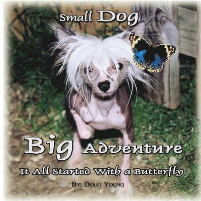 Douglas Young - Small Dog - Big Adventure: It all started with a butterfly, Häftad. Tillgänglighet: Lägg i varukorg