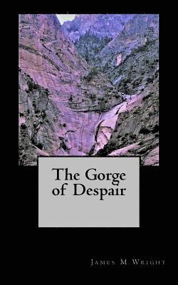 James M. Wright - The Gorge of Despair, Häftad. Tillgänglighet: Lägg i varukorg