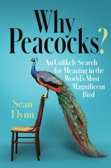 Sean Flynn - Why Peacocks?, E-bok