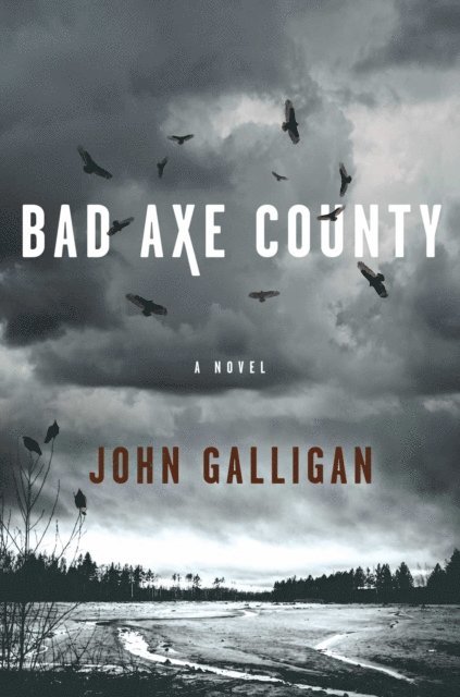John Galligan - Bad Axe County, E-bok
