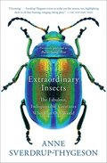 Extraordinary Insects