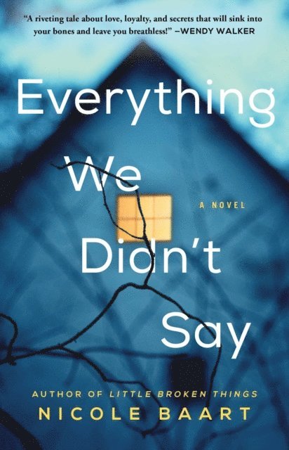 Nicole Baart - Everything We Didn't Say, E-bok
