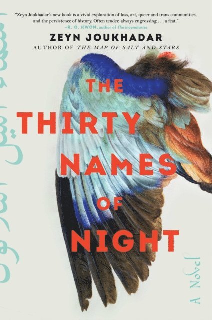 Zeyn Joukhadar - Thirty Names of Night, E-bok