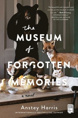 Anstey Harris - The Museum of Forgotten Memories, Häftad