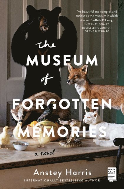 Anstey Harris - Museum of Forgotten Memories, E-bok
