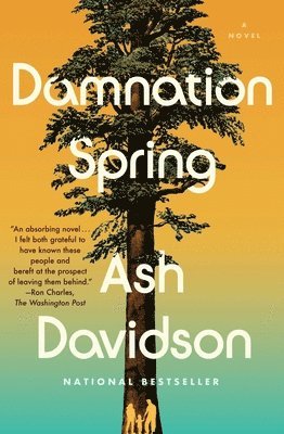 Ash Davidson - Damnation Spring, Häftad
