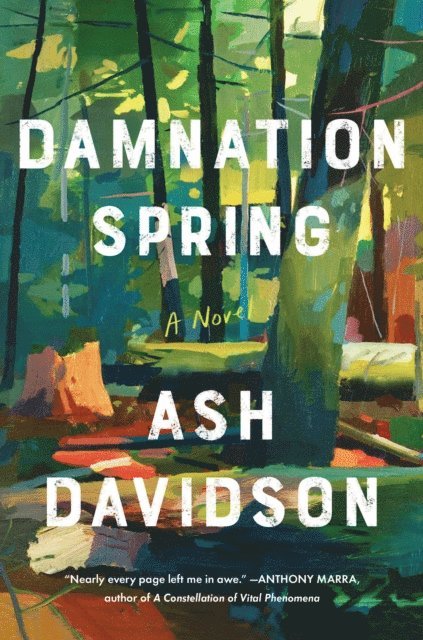 Ash Davidson - Damnation Spring, E-bok