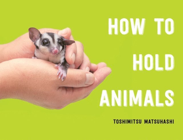 Toshimitsu Matsuhashi - How to Hold Animals, E-bok