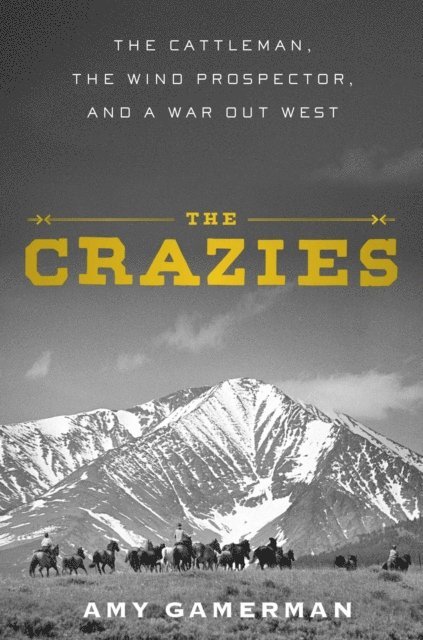 Amy Gamerman - Crazies, E-bok