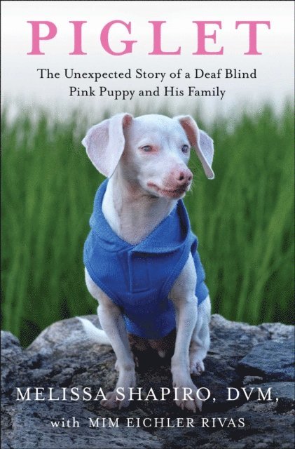 Mim Eichler Rivas, Melissa Shapiro - Piglet, E-bok