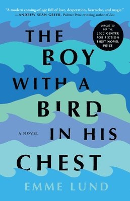 Emme Lund - The Boy with a Bird in His Chest, Häftad