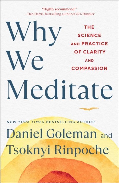 Tsoknyi Rinpoche, Daniel Goleman - Why We Meditate, E-bok