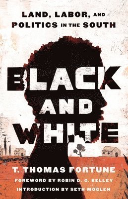 T. Thomas Fortune - Black and White: Land, Labor, and Politics in the South, Häftad. Tillgänglighet: Lägg i varukorg